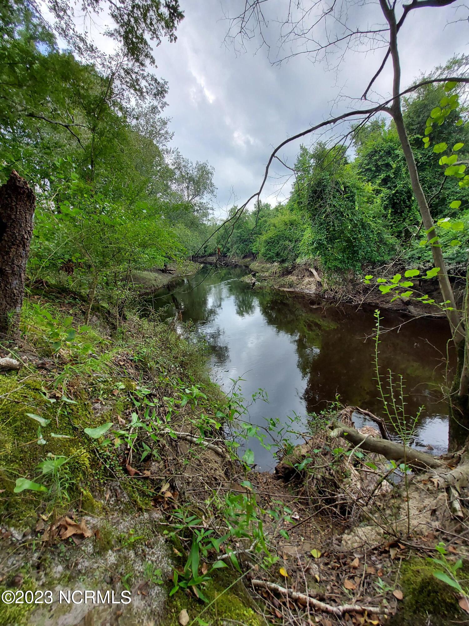 0 River Road Willard, NC 28478 - Photo 2 of 18 000RiverRd view at end-straight in