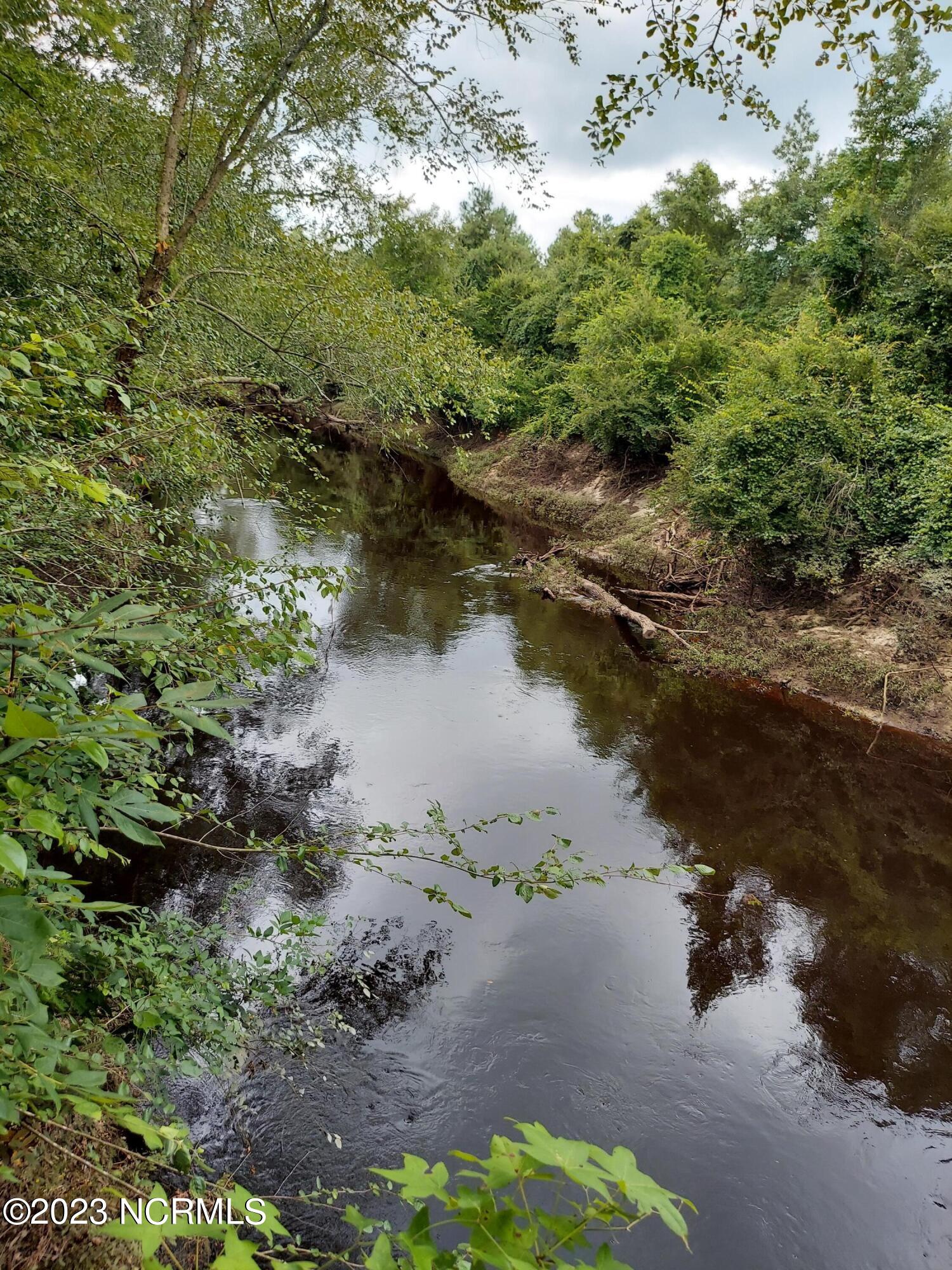 0 River Road Willard, NC 28478 - Photo 3 of 18 000RiverRd view upriver