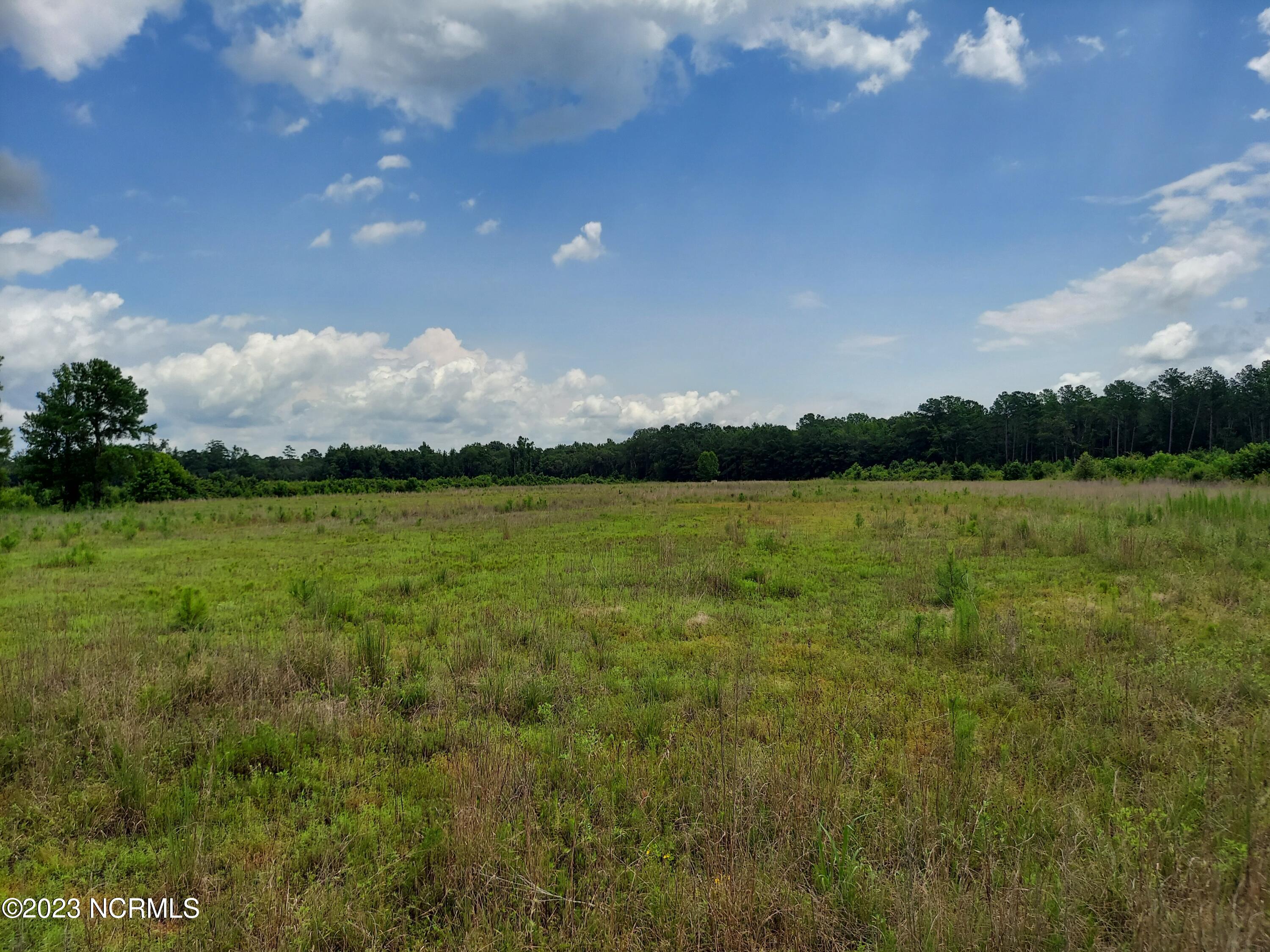 0 River Road Willard, NC 28478 - Photo 5 of 18 000RiverRd across field to shed