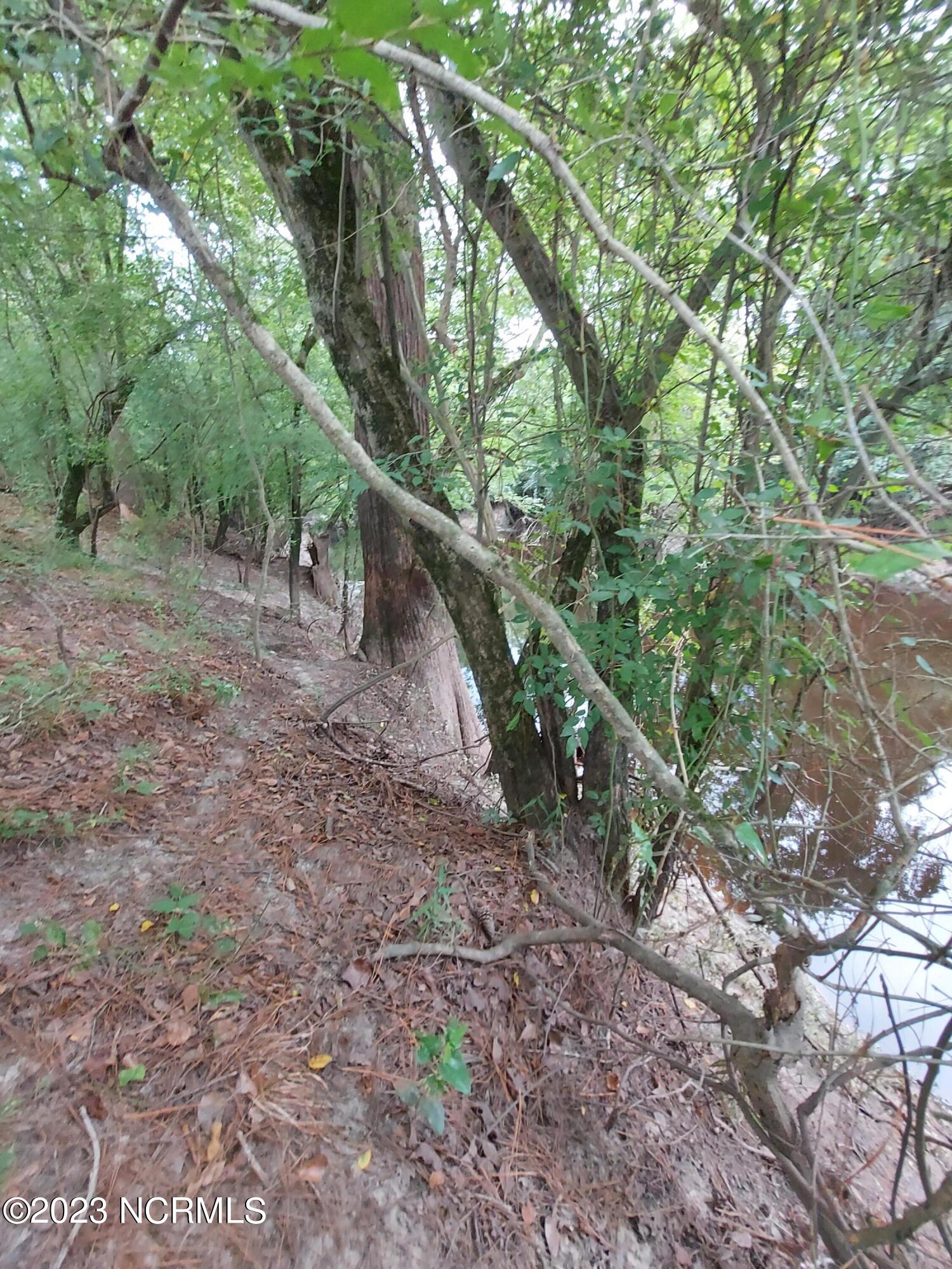 0 River Road Willard, NC 28478 - Photo 6 of 18 000RiverRd view from bank