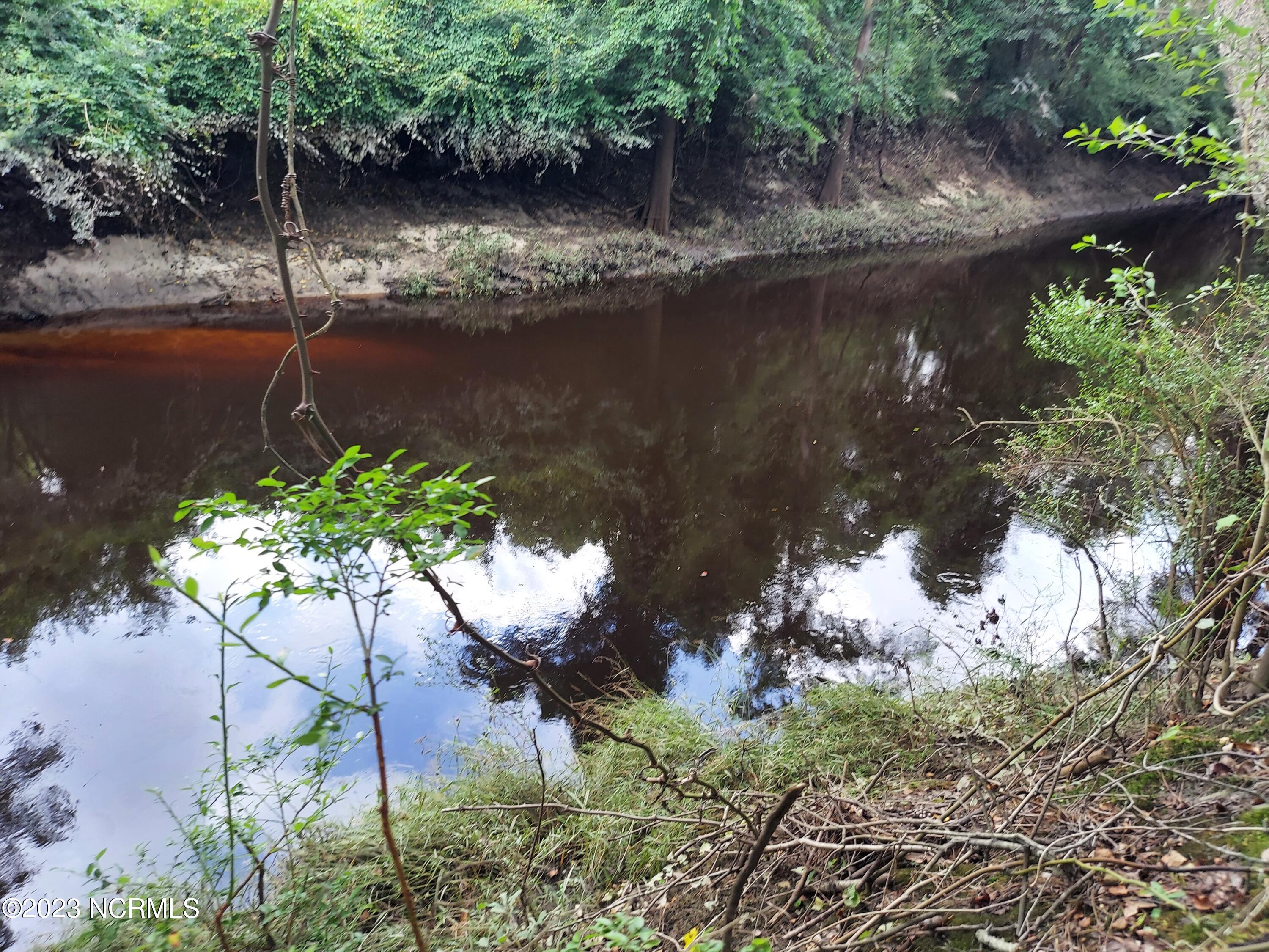 0 River Road Willard, NC 28478 - Photo 7 of 18 000RiverRd view across to Duplin