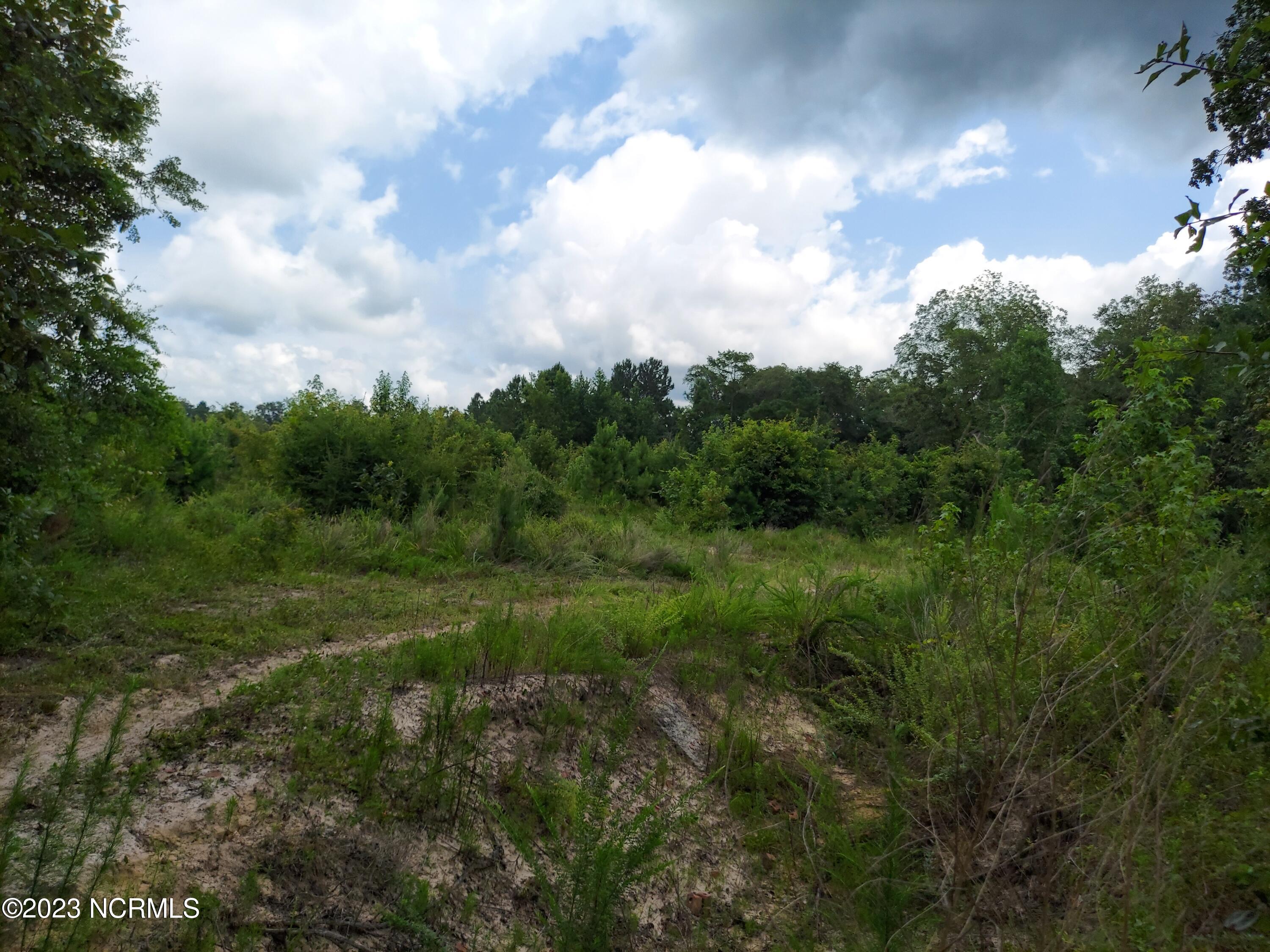 0 River Road Willard, NC 28478 - Photo 8 of 18 000RiverRd view over peninsula to river