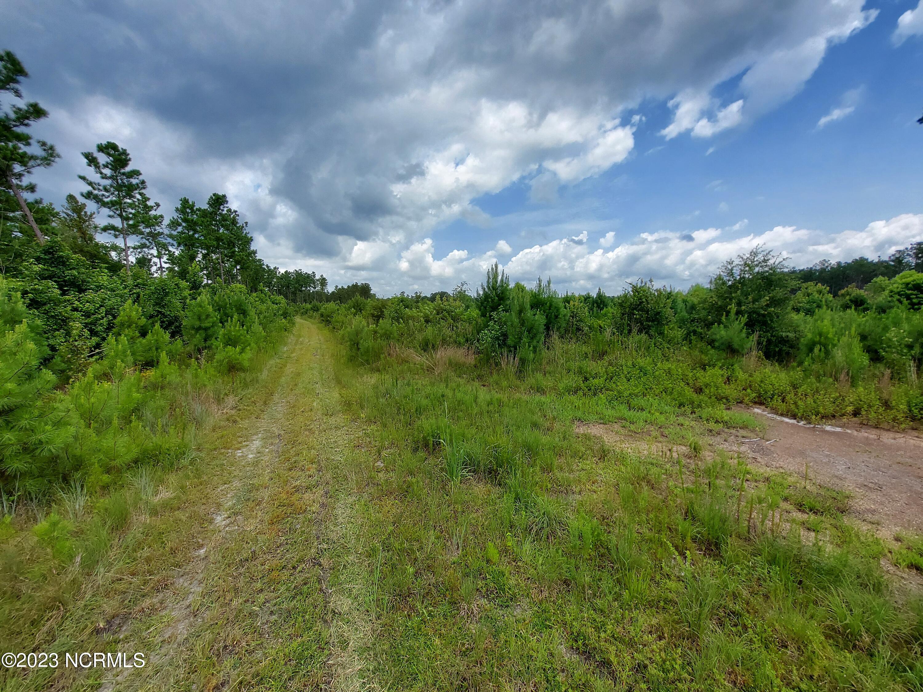 0 River Road Willard, NC 28478 - Photo 10 of 18 000RiverRd driving through toward shed