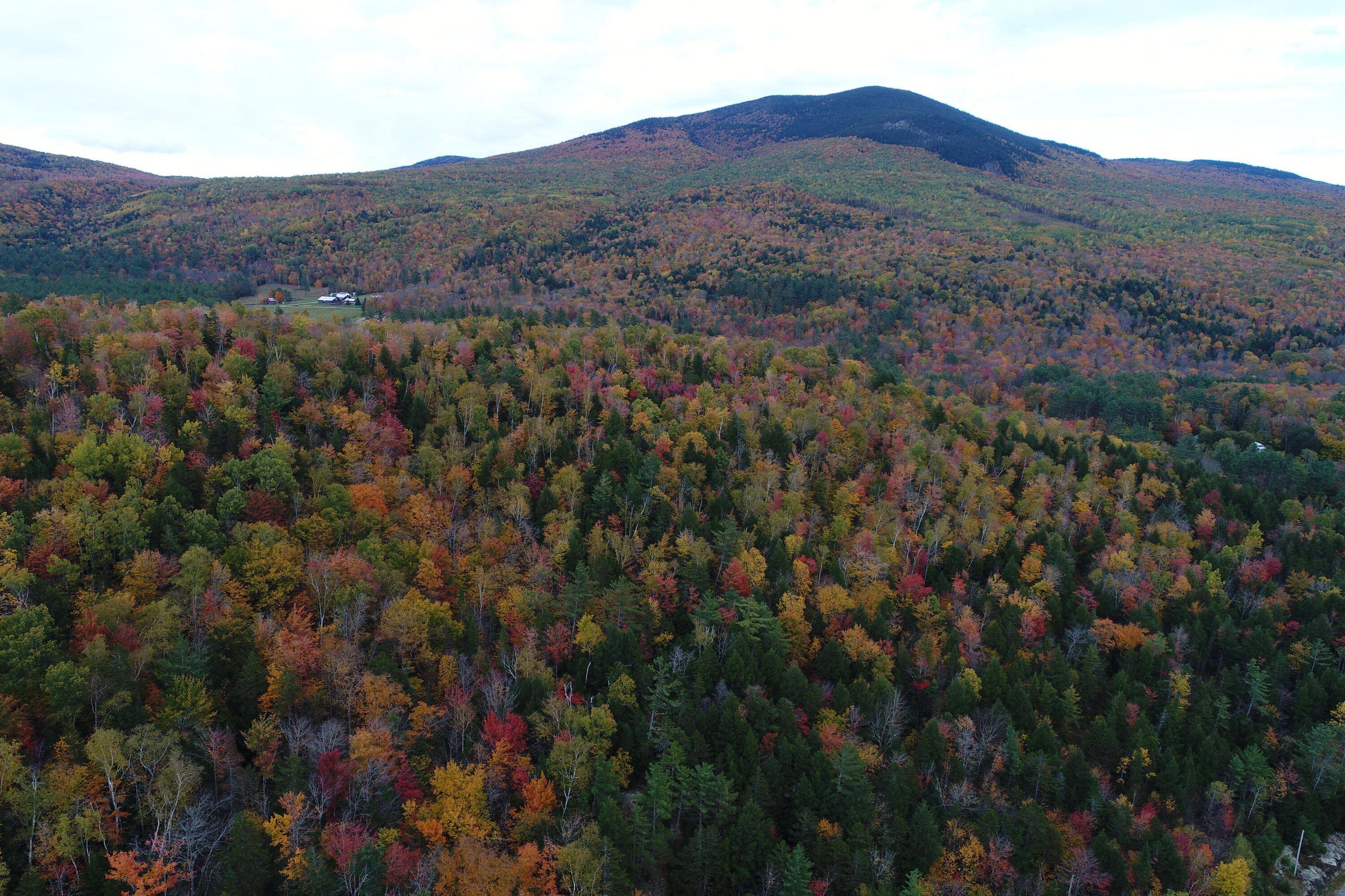 0 Bear River Road Newry, ME 04261 - Photo 28 of 34 DJI_0010