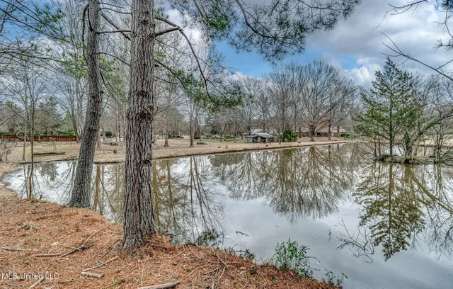 $1,040,000 | 116 Anna Cove, Madison, MS 39110