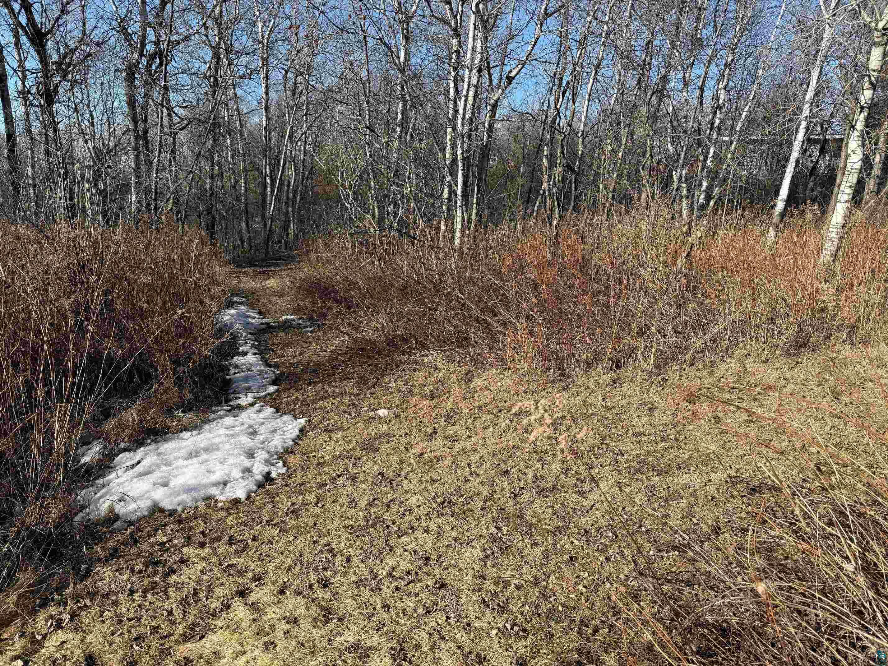 1635 Cliff Avenue Duluth, MN 55811 - Photo 31 of 31