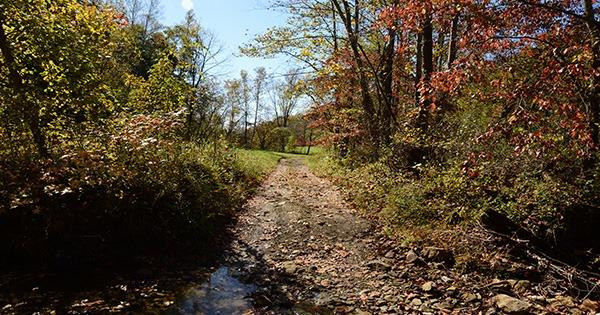 1 Anderson Branch Road Stanton, KY 40380 - Photo 25 of 27 Photo 25
