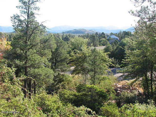 902 East Phoenix Street, Unit 89 Payson, AZ 85541 - Photo 4 of 6 4 Photo