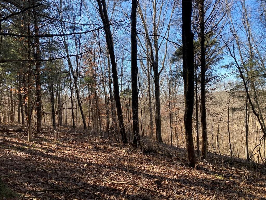 0 Bob Allen Road Freetown, IN 47201 - Photo 11 of 14
