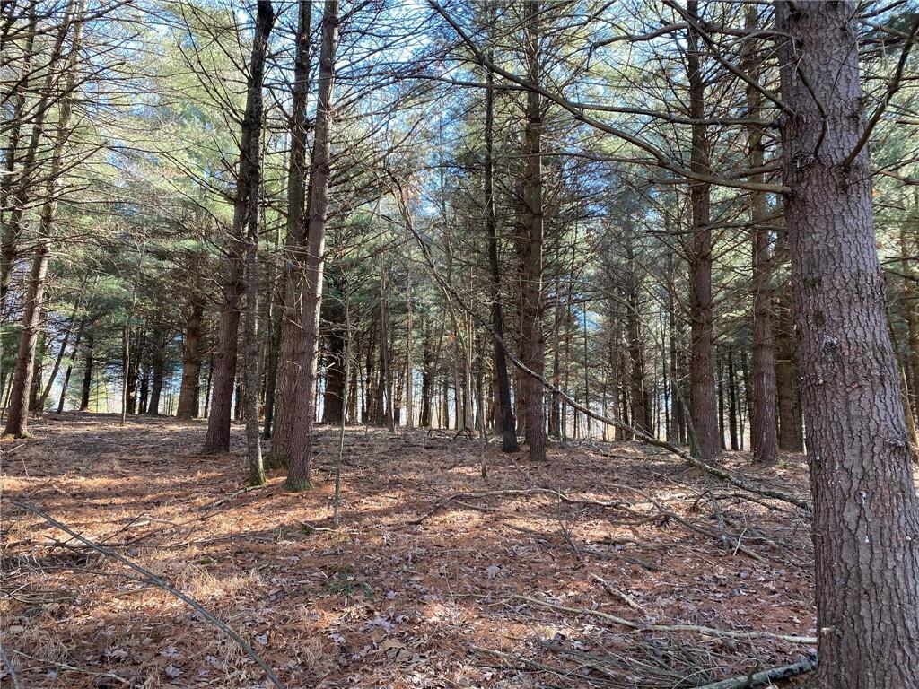 0 Bob Allen Road Freetown, IN 47201 - Photo 12 of 14