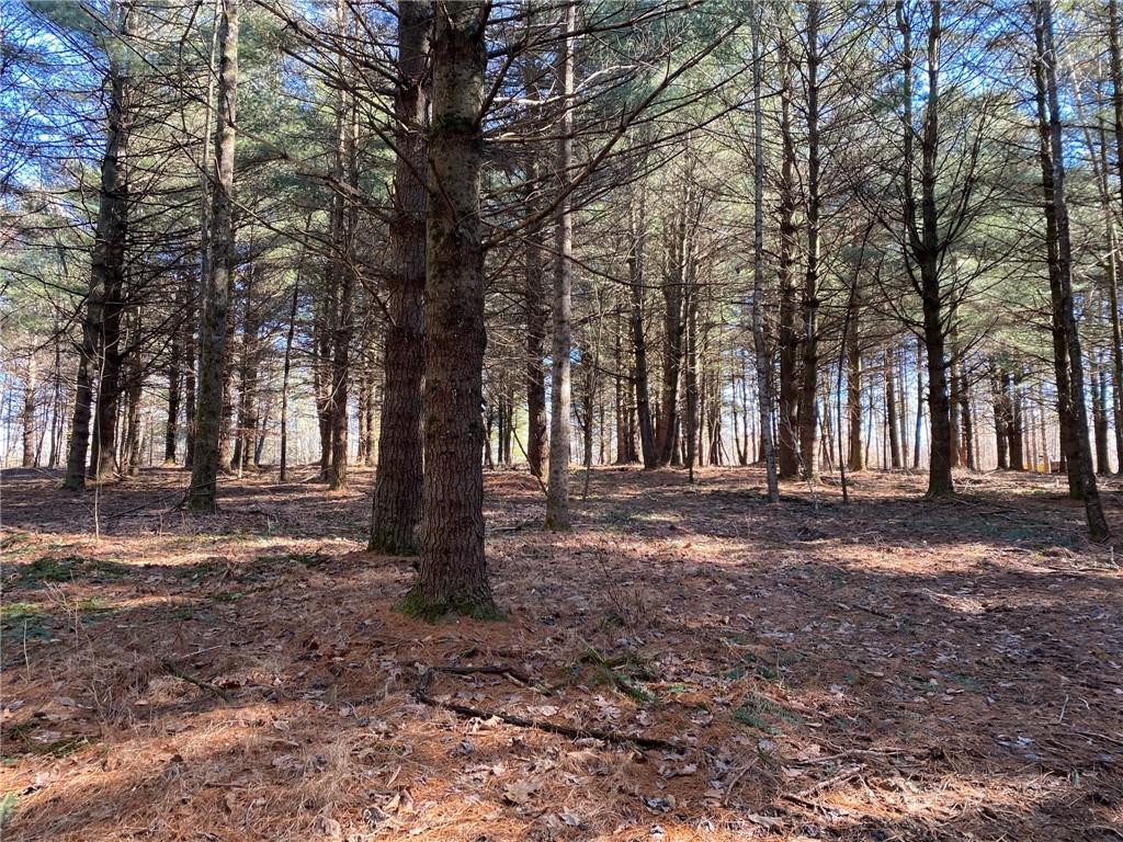 0 Bob Allen Road Freetown, IN 47201 - Photo 13 of 14