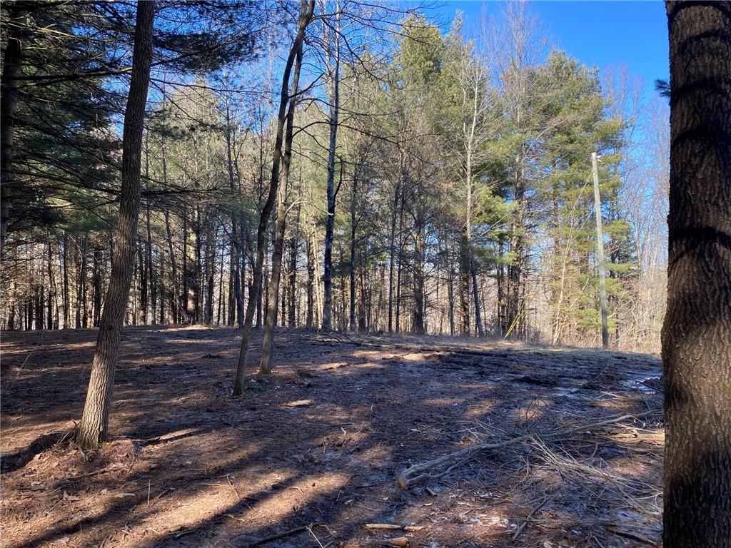 0 Bob Allen Road Freetown, IN 47201 - Photo 4 of 14