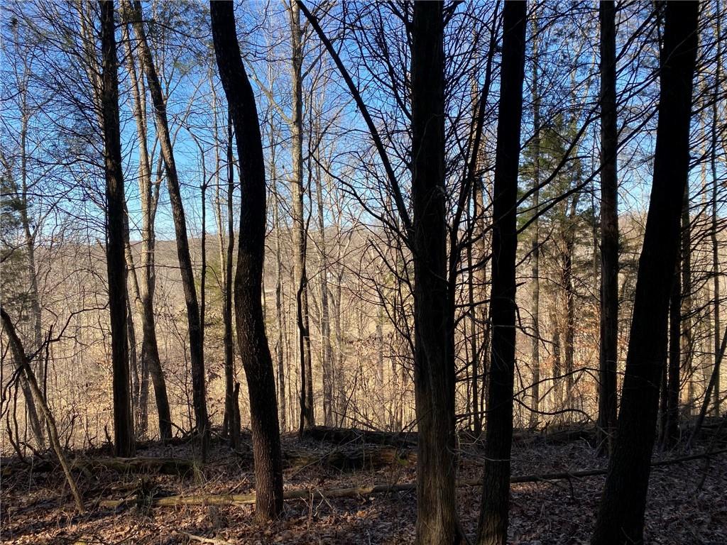 0 Bob Allen Road Freetown, IN 47201 - Photo 6 of 14