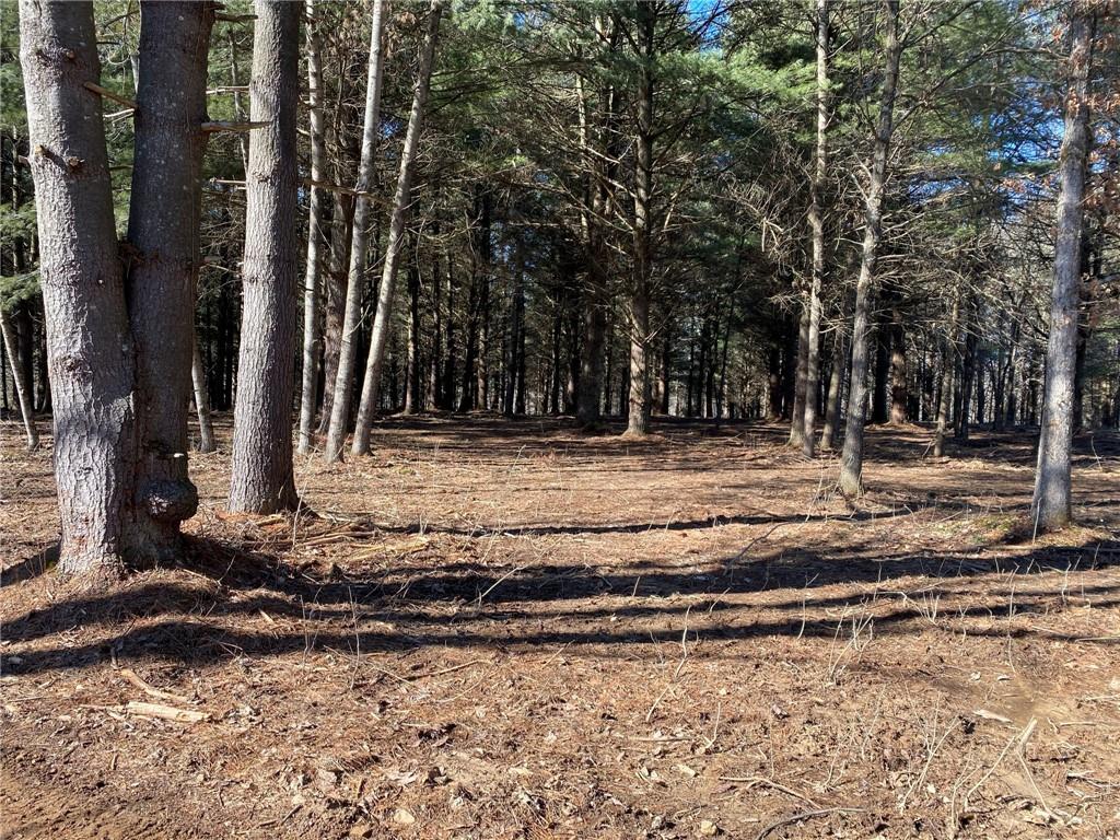 0 Bob Allen Road Freetown, IN 47201 - Photo 9 of 14