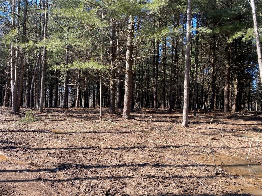 0 Bob Allen Road Freetown, IN 47201 - Photo 10 of 14