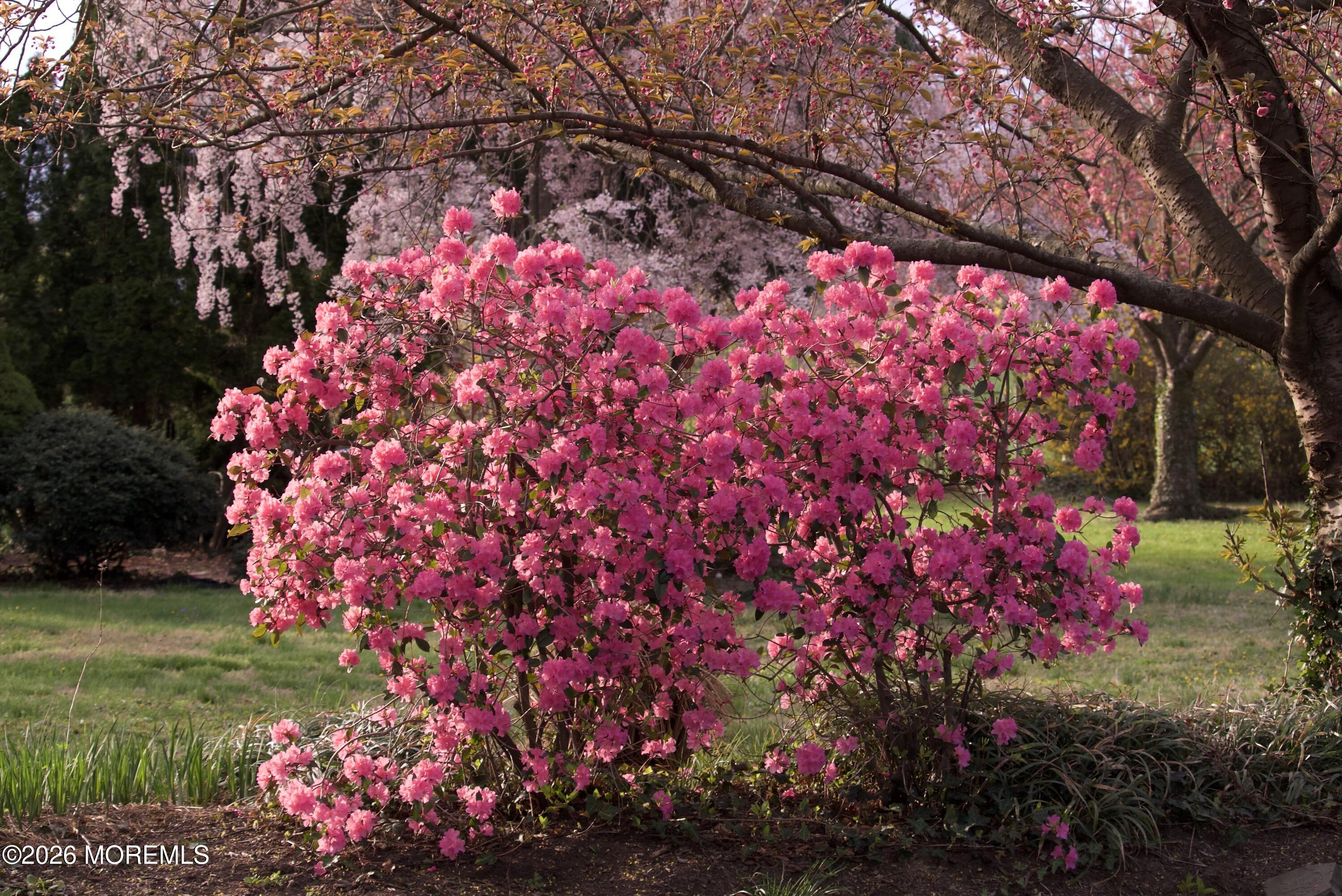 106 Rumson Road Little Silver, NJ 07739 - Photo 58 of 59 Front Yard