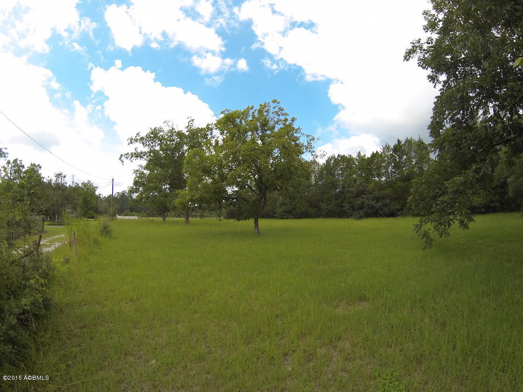 1293 Coop Road Hampton, SC 29924 - Photo 15 of 24 GOPR3603