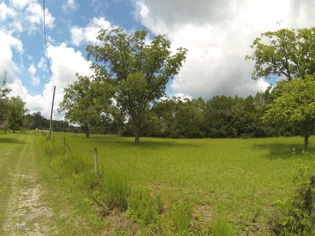 1293 Coop Road Hampton, SC 29924 - Photo 16 of 24 GOPR3599