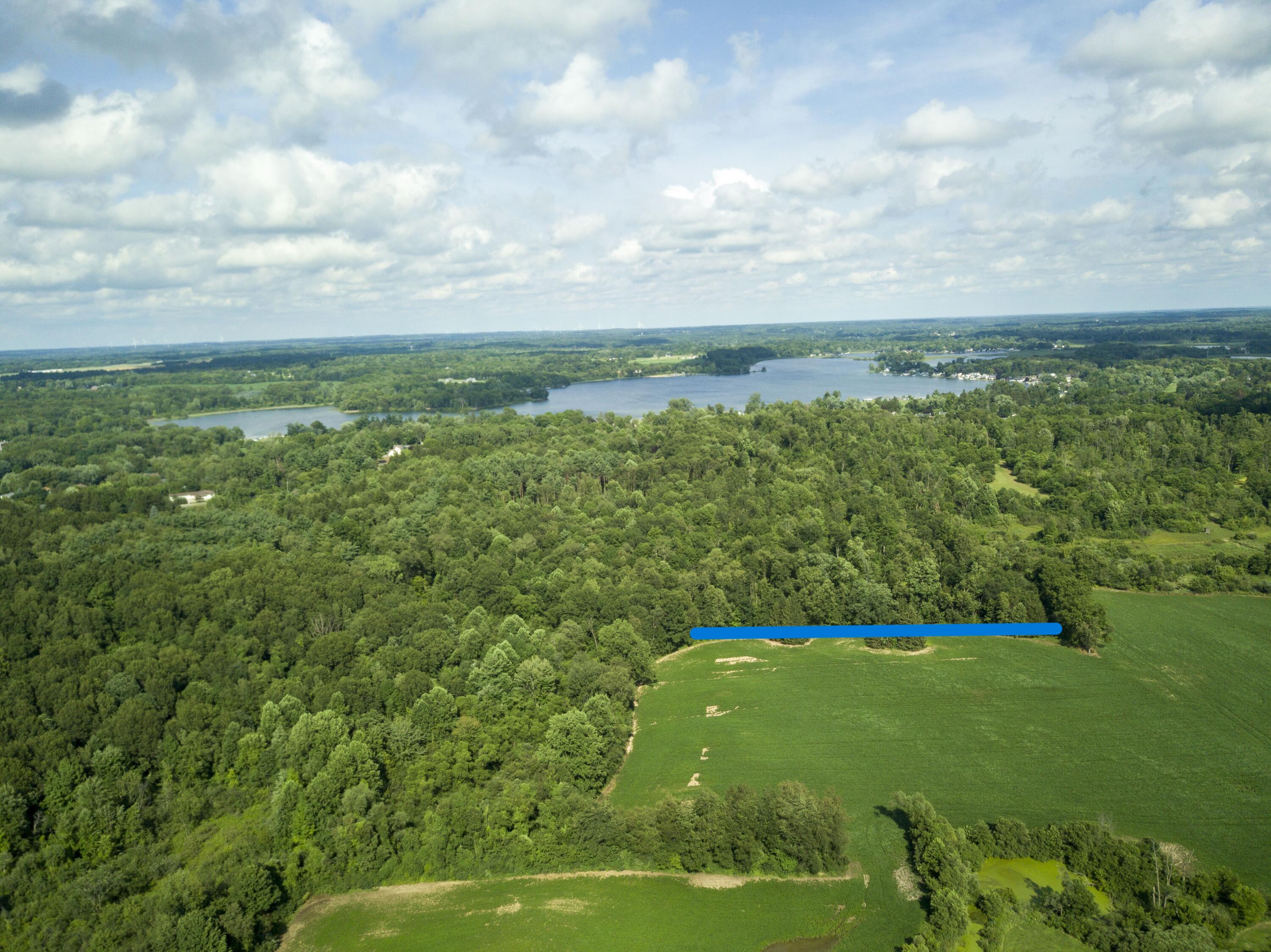 Hudson Road Hillsdale, MI 49242 - Photo 1 of 2 29 Acres VL ML - drone