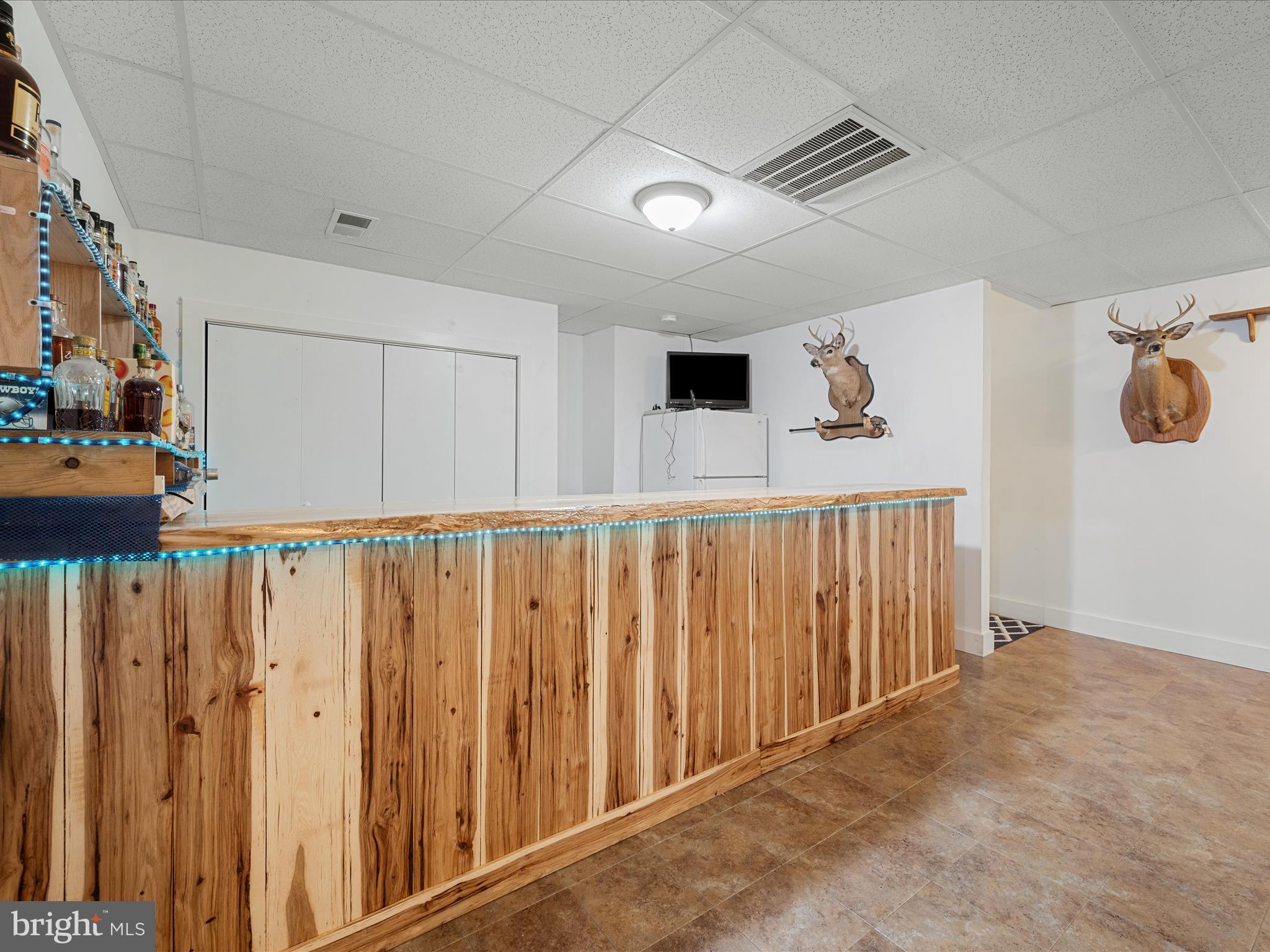 720 Adams Road Winchester, VA 22603 - Photo 33 of 60 Lower level rec room