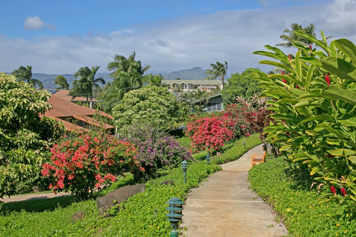 1870 Hoone Road, Unit 802 Koloa, HI 96756 - Photo 24 of 24 a view of a garden with a flower garden
