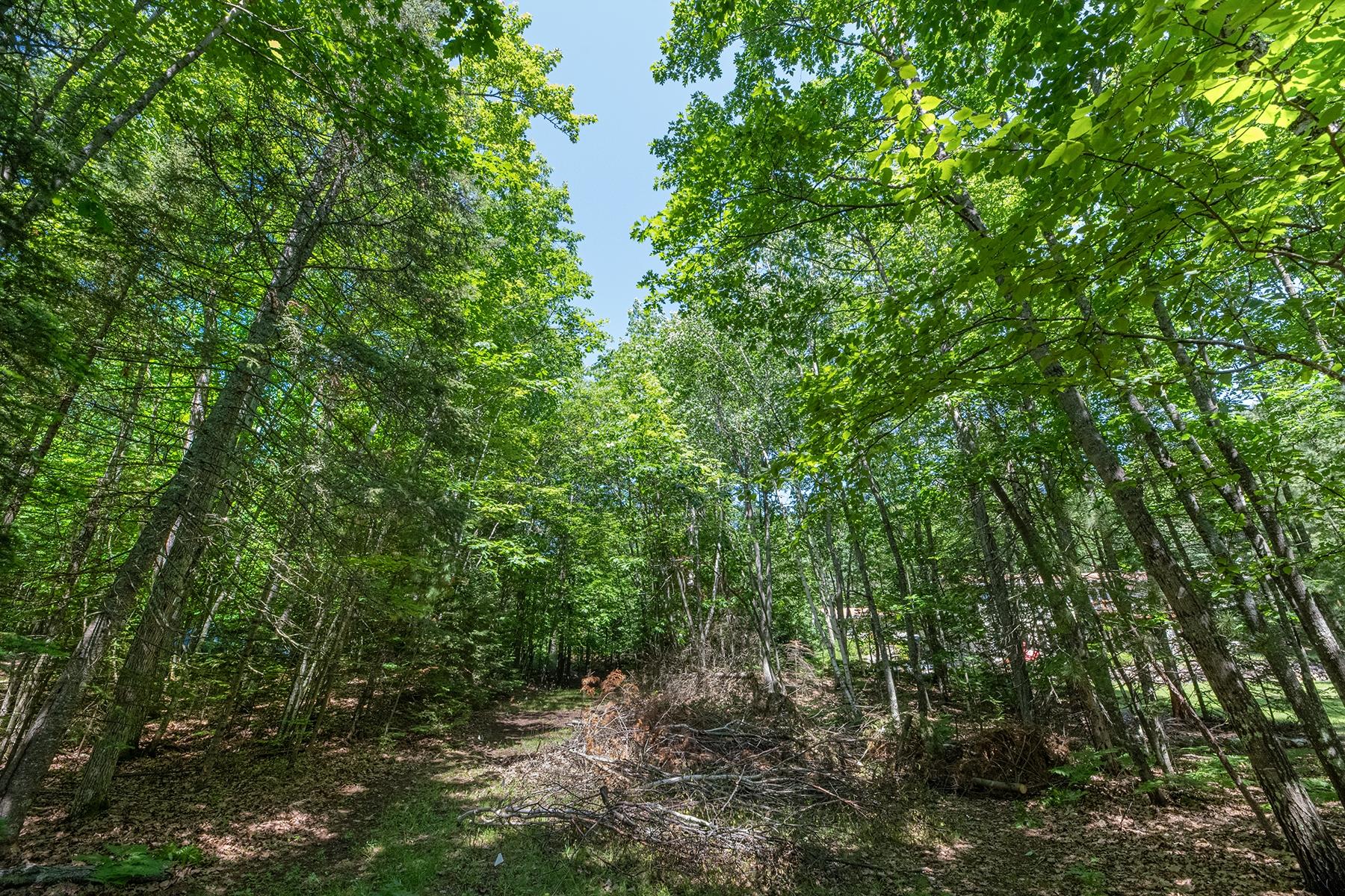 Off Shangri La Road Eagle River, WI 54521 - Photo 17 of 21 Gallery Image 17