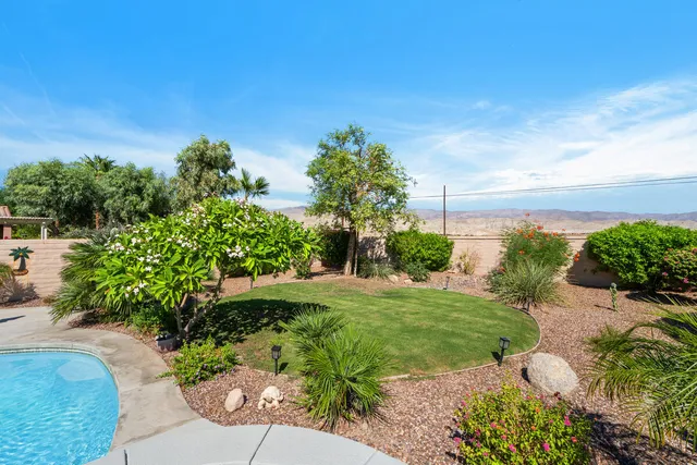 a view of a garden with plants and large trees