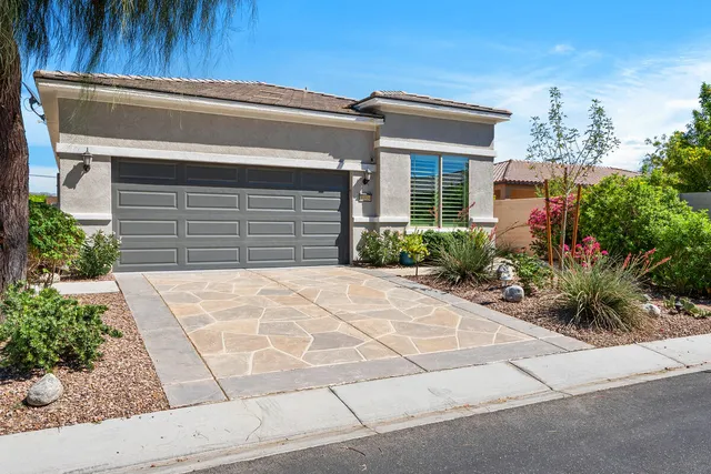 a view of a backyard with plants and palm tree