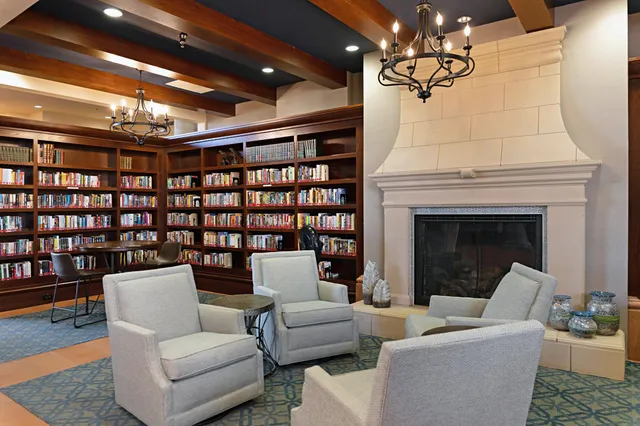 a living room with furniture a rug and a potted plant