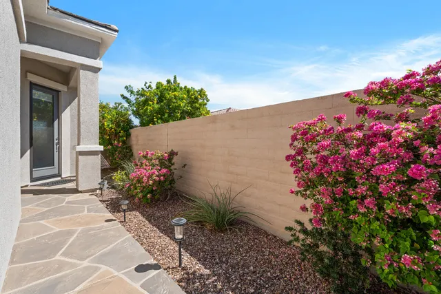 a potted plant sitting in front of a house