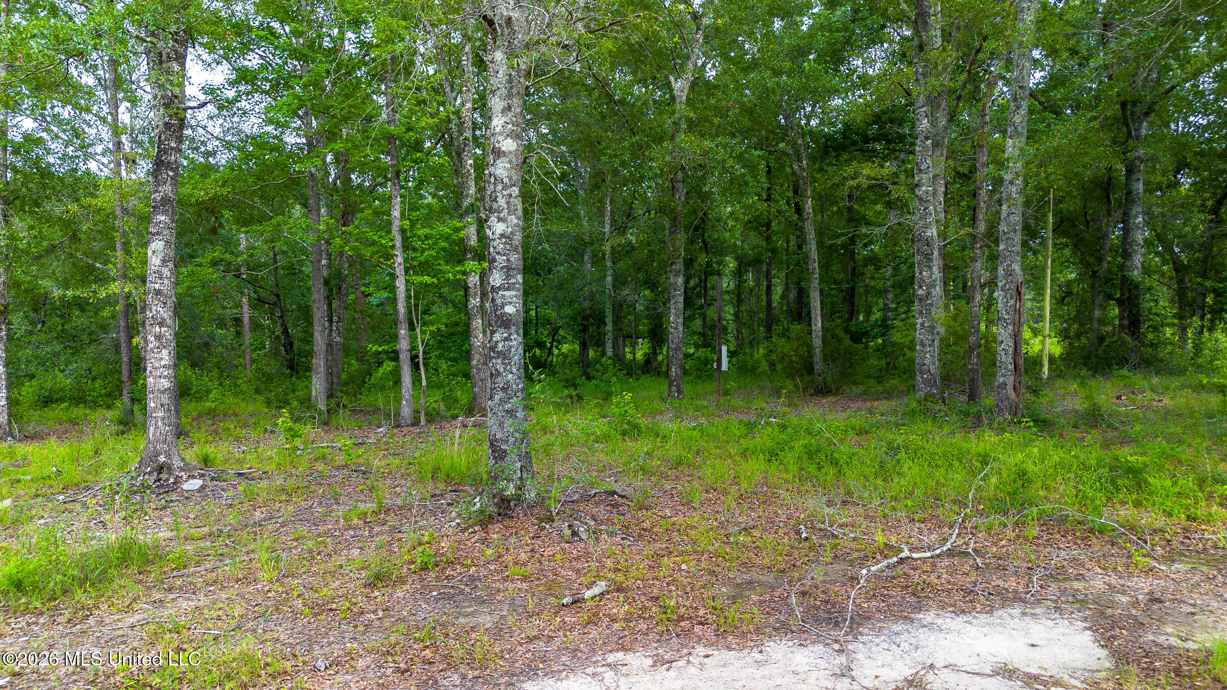 17465 Nobles Road Saucier, MS 39574 - Photo 15 of 19 17465 Nobles Rd (15)