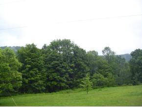 380 Blatchley Road Windsor, NY 13865 - Photo 3 of 6