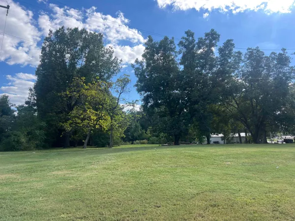 a view of a field with trees in the background