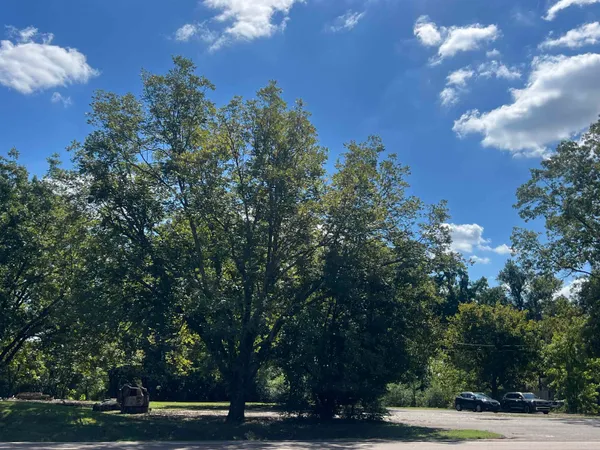 a view of park space