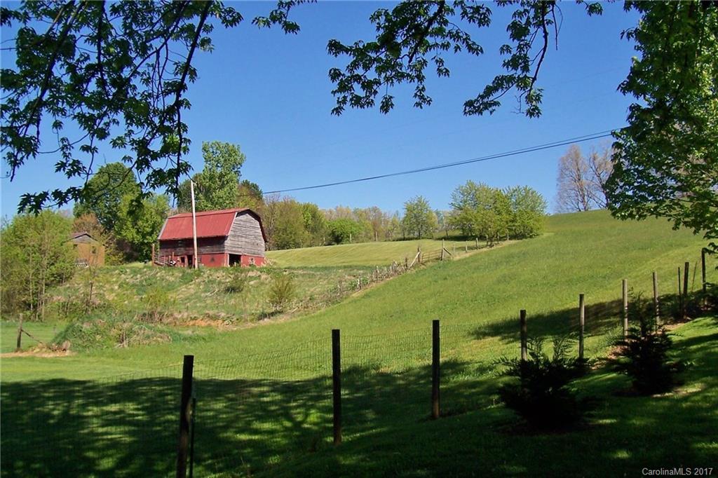 729 Mundy Field Road Canton, NC 28716 - Photo 4 of 23