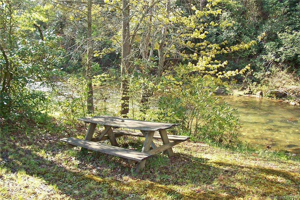 729 Mundy Field Road Canton, NC 28716 - Photo 5 of 23