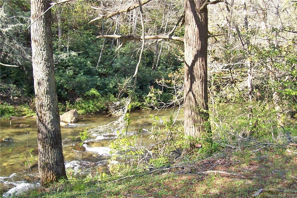 729 Mundy Field Road Canton, NC 28716 - Photo 6 of 23