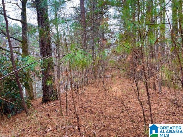 0 Deaver Walker Road Trafford, AL 35172 - Photo 22 of 28