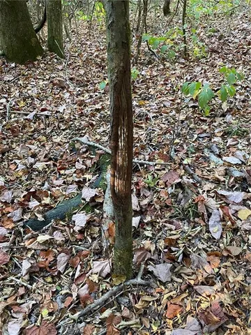 $137,700 | 1 East Yeager Drive, Ball, LA 71405