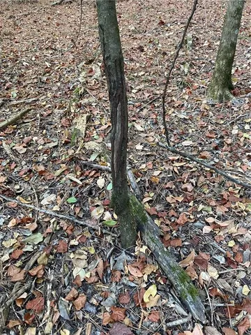 $137,700 | 1 East Yeager Drive, Ball, LA 71405