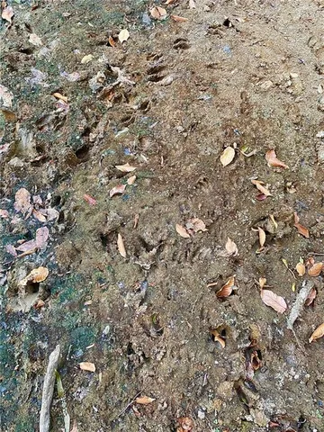 $137,700 | 1 East Yeager Drive, Ball, LA 71405