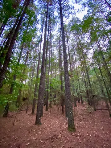 $137,700 | 1 East Yeager Drive, Ball, LA 71405