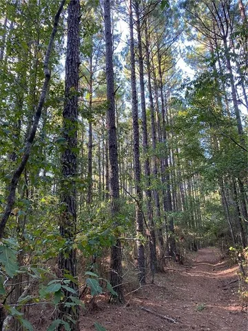 $137,700 | 1 East Yeager Drive, Ball, LA 71405