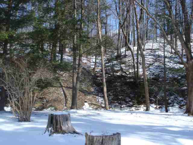 98 Old Mill Road Rensselaer, NY 12144 - Photo 8 of 10 Photo 8