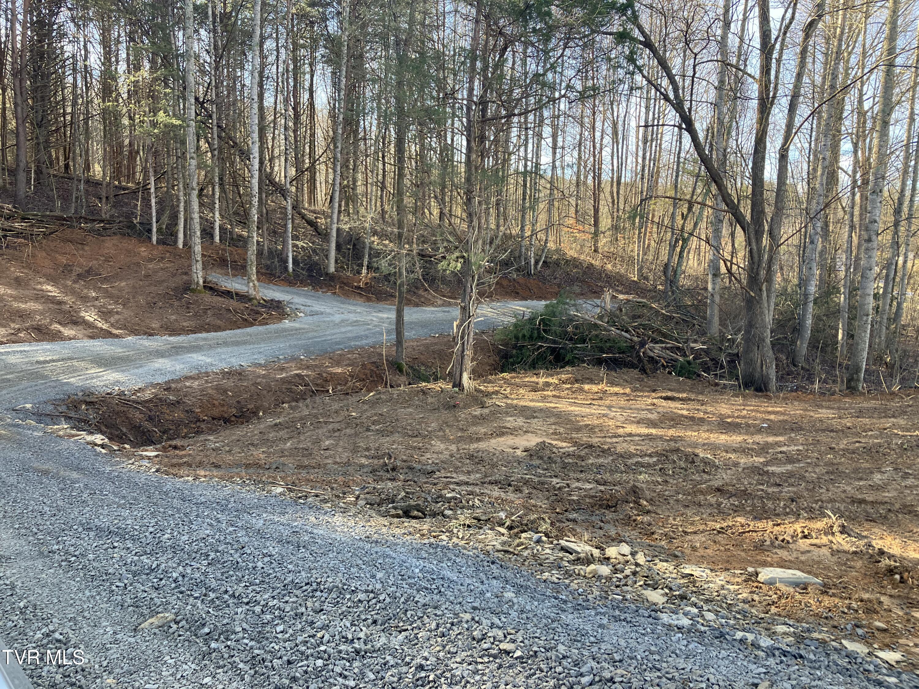3927 Cherokee Road Jonesborough, TN 37659 - Photo 1 of 11 IMG_3354