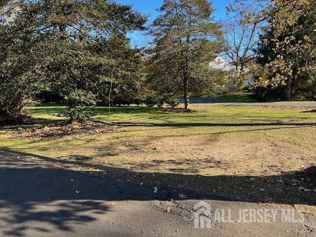 79 Davidson's Mill Road North Brunswick, NJ 08902 - Photo 3 of 30 a view of a yard with an outdoor space