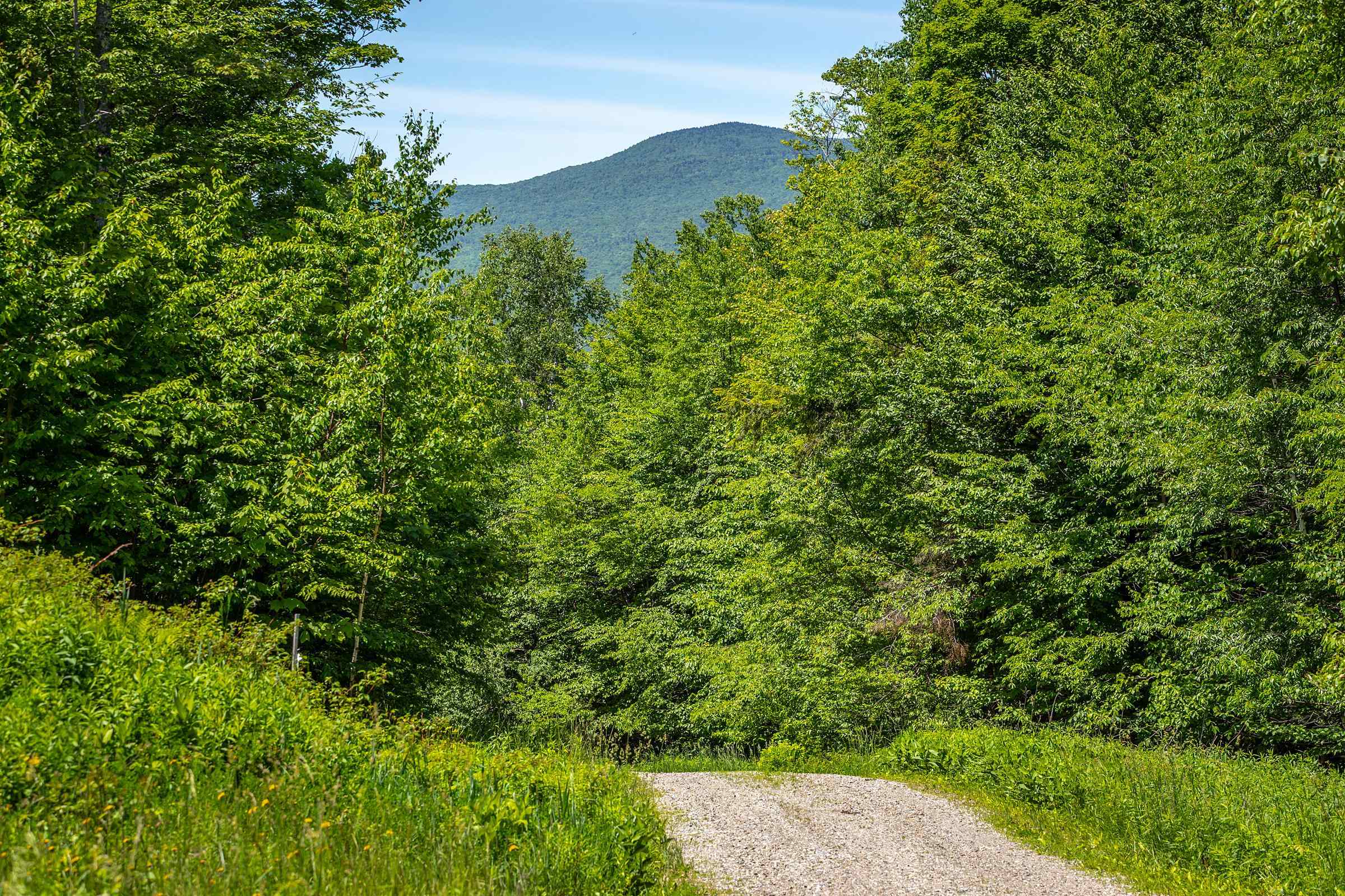 691 Black Bear Road Jamaica, VT 05343 - Photo 44 of 44