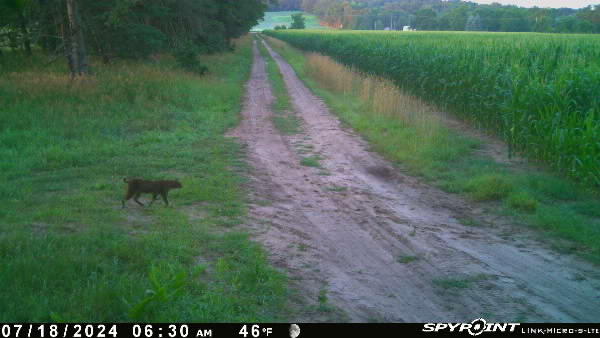 3460 Monroe Road Hart, MI 49420 - Photo 7 of 9 IMG_1163
