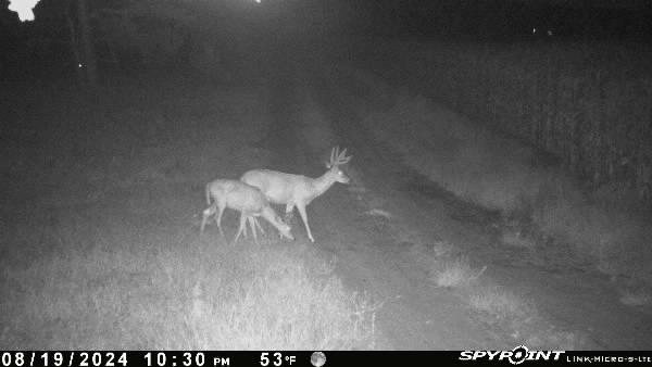 3460 Monroe Road Hart, MI 49420 - Photo 9 of 9 IMG_1329