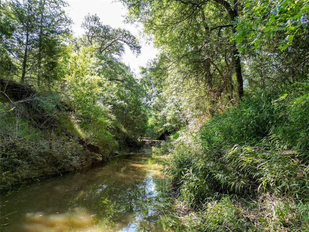 995 Carter Road Dale, TX 78616 - Photo 11 of 28 a view of a lake view with houses